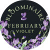 February Pendant Necklace - Image 3