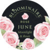 Midnight & Roses