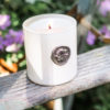 October Candle - Cosmos - Image 5
