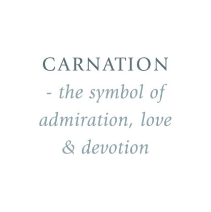 Carnation